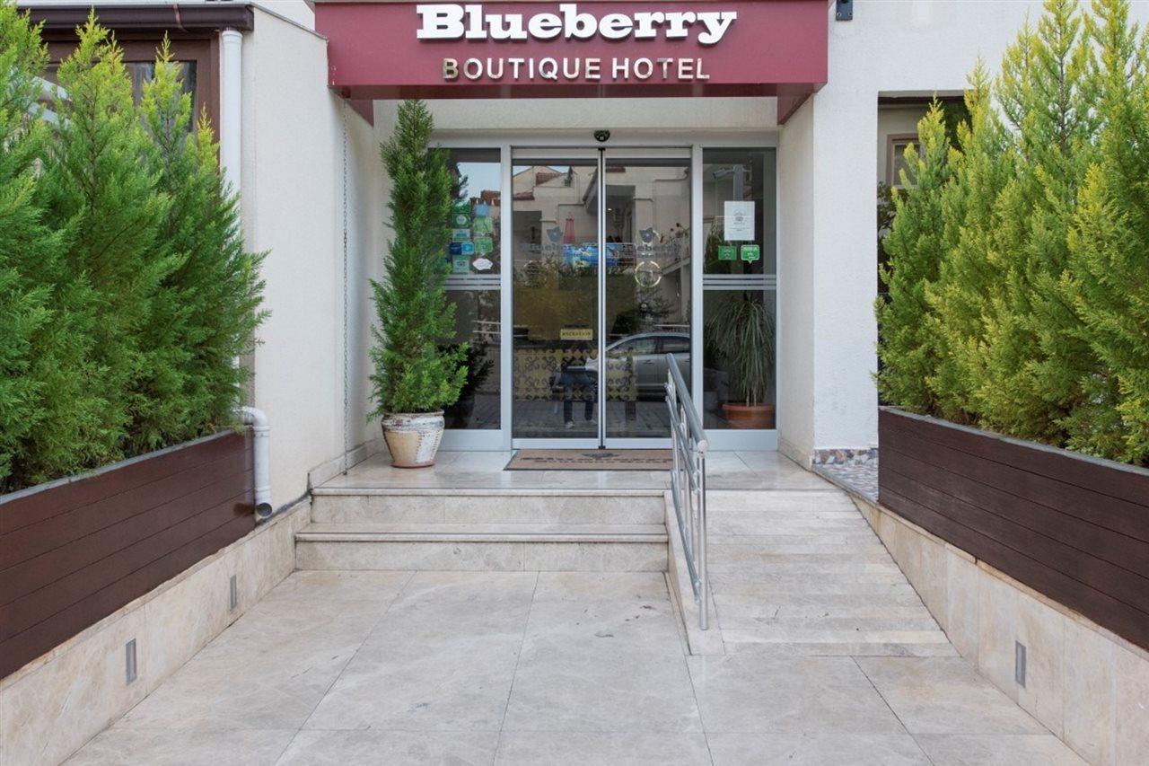 Blueberry Boutique Hotel 费特希耶 外观 照片