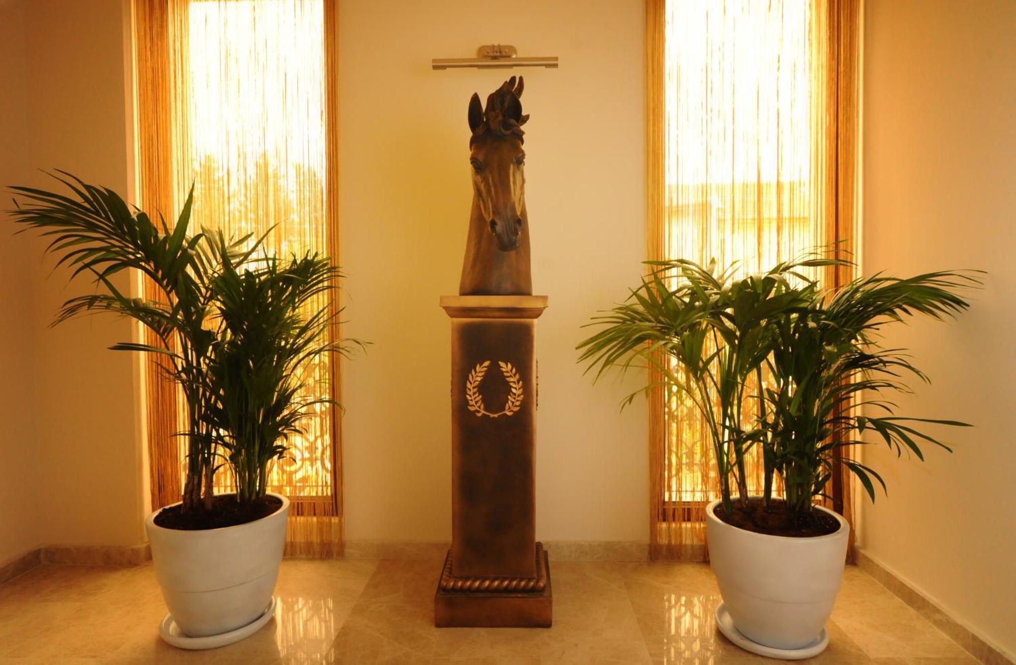 Blueberry Boutique Hotel 费特希耶 外观 照片