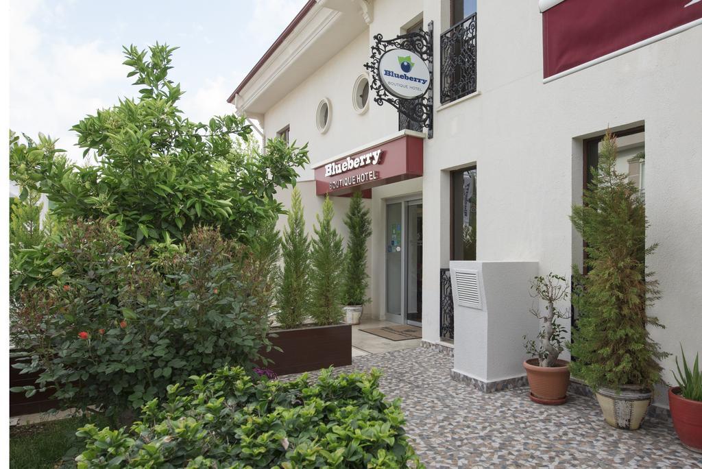 Blueberry Boutique Hotel 费特希耶 外观 照片